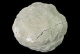 Keokuk Quartz Geode with Calcite & Pyrite - Iowa #144729-1